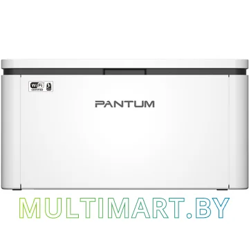 Принтер Pantum BP2300W